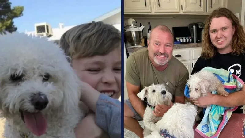 Microchip ajuda família reencontrar cachorro perdido por 12 anos