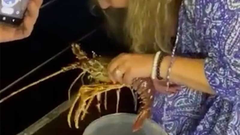 Mulher compra lagosta em restaurante por R$ 1 mil e devolve animal para o mar