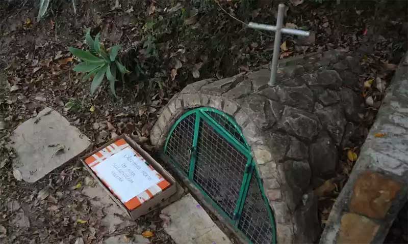 Cachorro morto é deixado em caixa em frente a altar no Grajaú, em Belo Horizonte