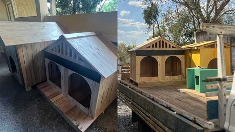 Estudantes criam casas com materiais recicláveis e doam para animais de abrigo em Cuiabá