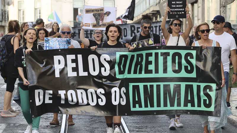 Ativistas marcham em Lisboa pela “dura realidade” de todos os animais “explorados e torturados”