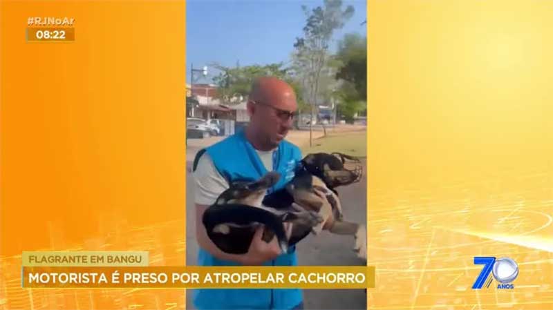 Motorista é preso por passar com carro em cima de cachorro duas vezes no Rio; vídeo flagrou crime