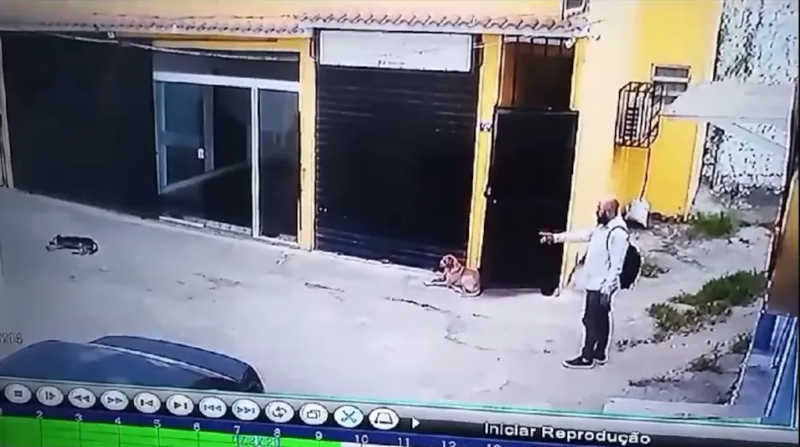 Homem é preso em flagrante após atropelar cachorro na zona oeste do Rio