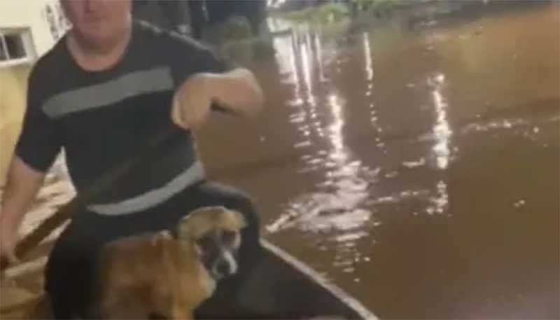 Emocionante: Pai e filha salvam cachorro no meio da enchente no Rio Grande do Sul; vídeo