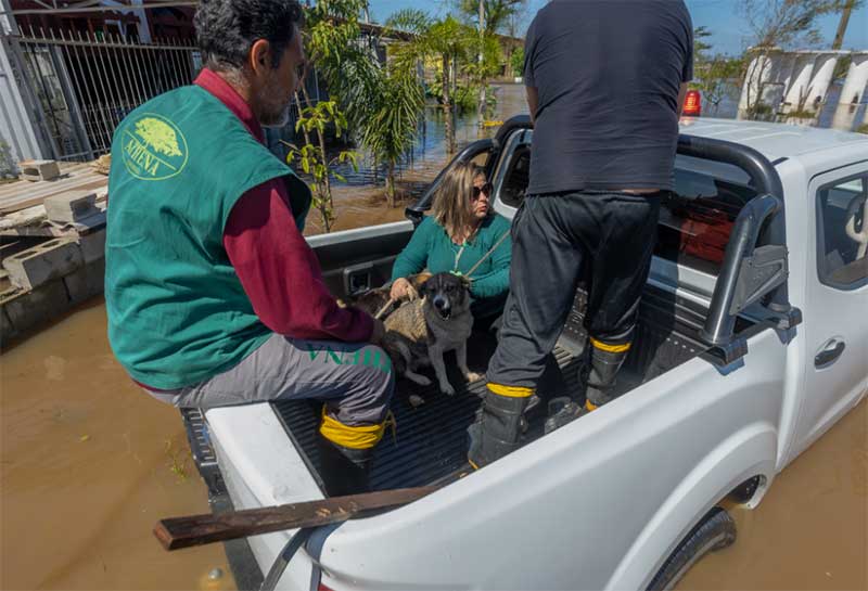 Secretaria de Bem-Estar Animal recebe doações para animais vítimas das enchentes em Canoas, RS