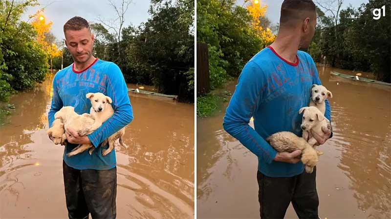 Homem salva filhotes de cachorro de enchente após temporal no RS: ‘bicho é que nem filho’; vídeo