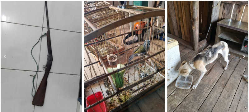 Homem é preso em Anitápolis (SC) por maus-tratos a animais