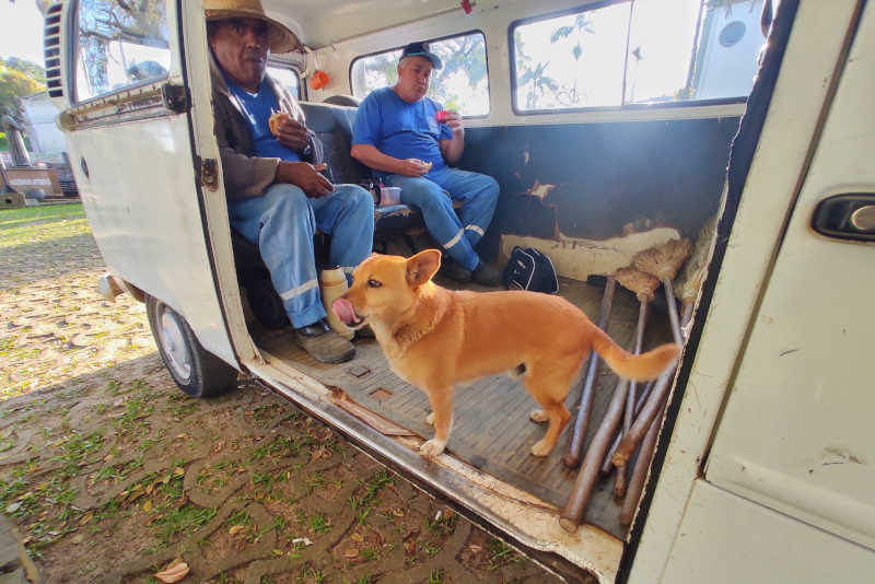 [Fotos] Cachorro é adotado por equipe de limpeza e vira atração em Nova Veneza