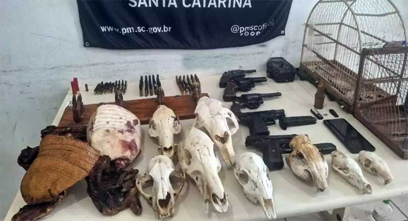 Polícia apreende armas e restos mortais de animais caçados ilegalmente em São Francisco do Sul, SC