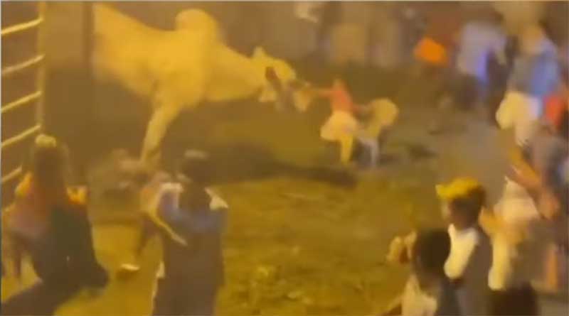 Touro reage aos maus-tratos, quebra cerca, avança no público e deixa feridos em Campo do Brito, SE; video