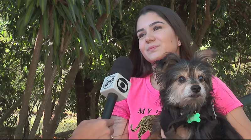 João, cachorro adotado pela Marcella, já possui o RG Pet — Foto: Fabio de Souza/EPTV