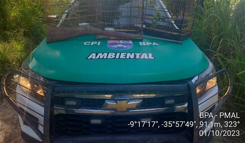 Polícia Ambiental apreende armas e resgata animais  em Arapiraca (AL) e mais duas cidades alagoanas