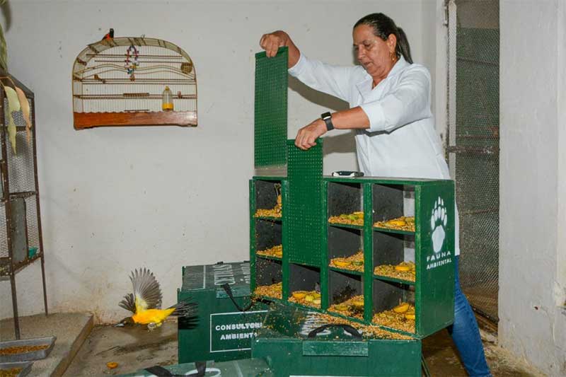 Centro de Triagem de Animais Silvestres de Vitória da Conquista (BA) recebe mais de mil animais apreendidos em São Paulo