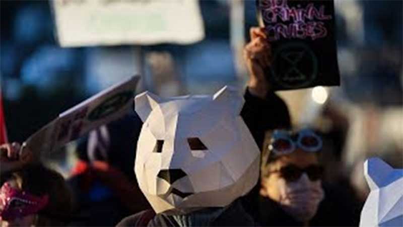 Ativistas mascarados de animais recebem em protesto cruzeiro com turistas