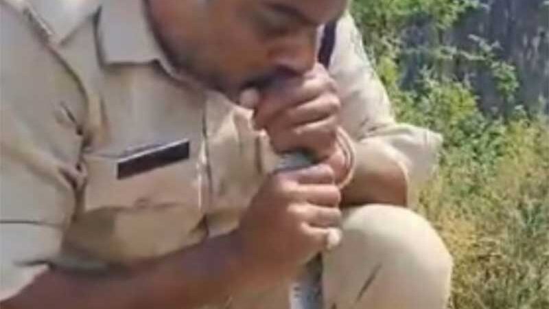 VÍDEO: policial faz reanimação cardiopulmonar em cobra e salva o animal; assista
