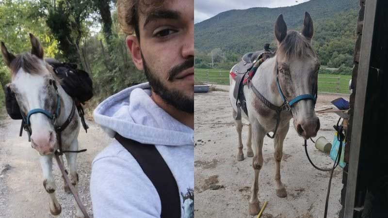 Jovem percorre 500 km, com cavalo cego em busca de cura para o animal