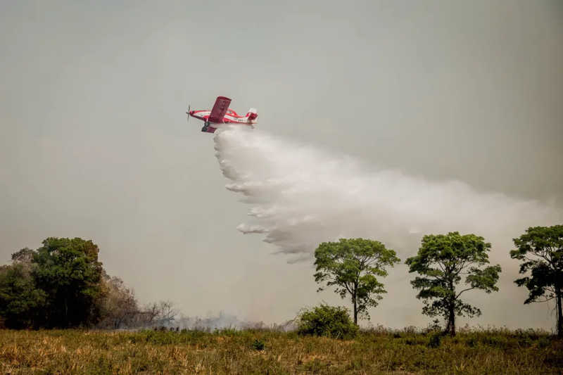 Bombeiros combatem incêndios no Pantanal de MT — Foto: Corpo de Bombeiros