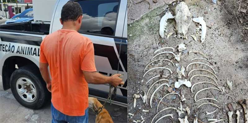 Polícia encontra ossada de cachorro ao prender homem por maus-tratos a animais, em Belém