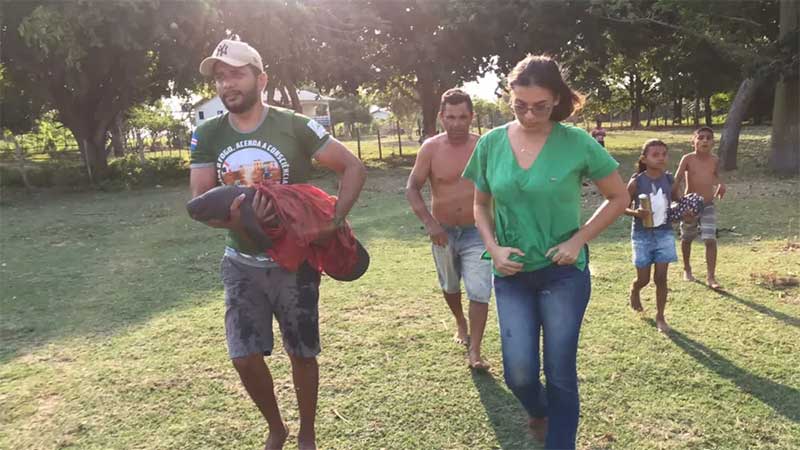 Peixe-boi é resgatado pela Semma de Óbidos (PA) após ser encontrado por moradores em praia