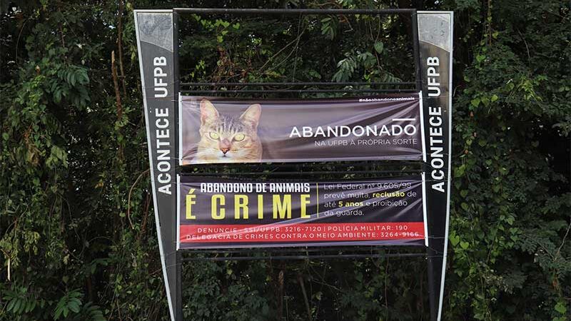 UFPB promove campanha de combate ao abandono de animais nos campi