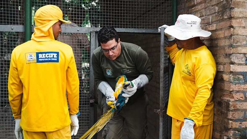 Animais começam a ser retirados do Parque Treze de Maio, no Recife; prefeitura vai substituir zoológico por praça para crianças