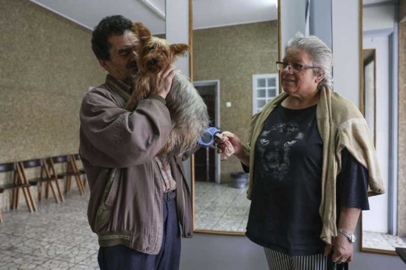 Portugal: Animalife procura voluntários para apoiar famílias carenciadas com animais