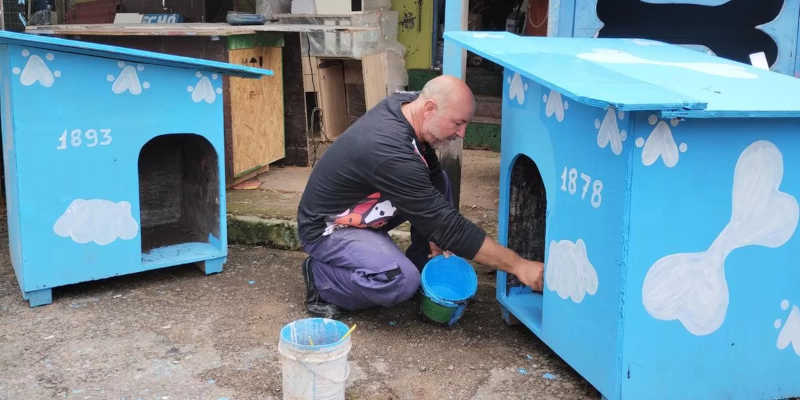 Em cinco anos, vigilante constrói 2,6 mil abrigos para animais de rua