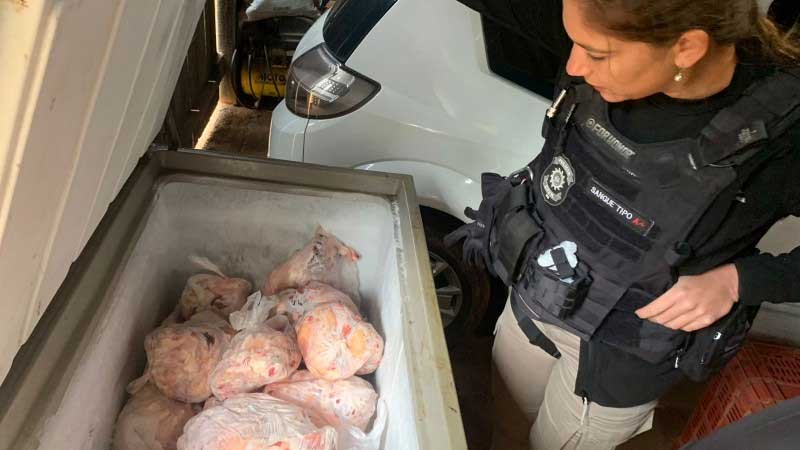Polícia Civil deflagra operação contra caçadores de javalis no interior do RS