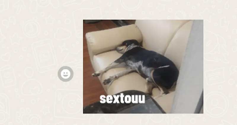 Cão mascote de Cerqueira César — Foto: Arquivo pessoal