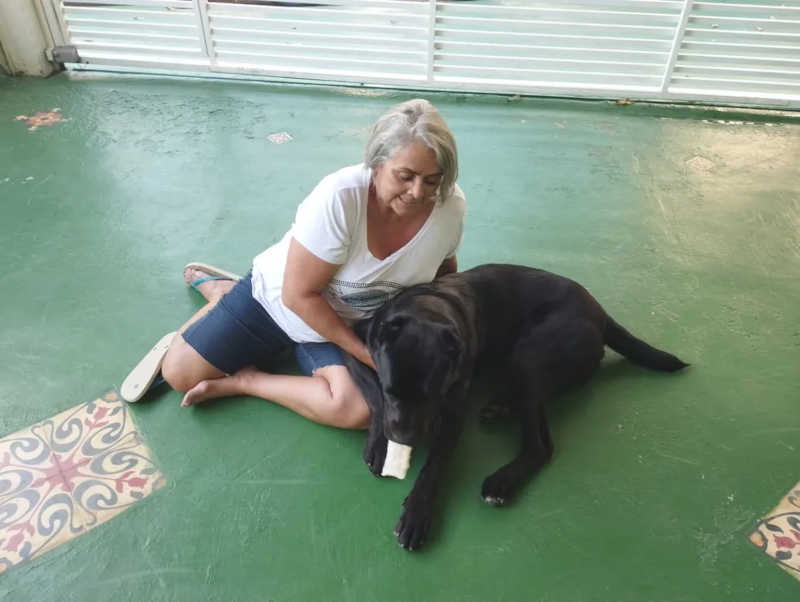 Adriana, tutora de Sombra, estava no exterior quando o cão desapareceu — Foto: Arquivo pessoal