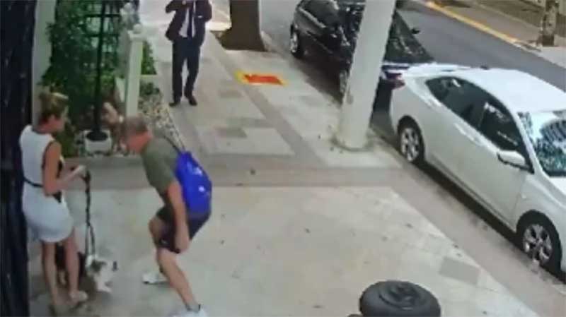 VÍDEO: homem chuta cachorros da irmã do ministro Cristiano Zanin em SP
