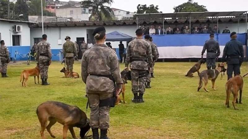 Cão farejador morre durante treinamento policial em Cariacica (ES) e PM vai investigar