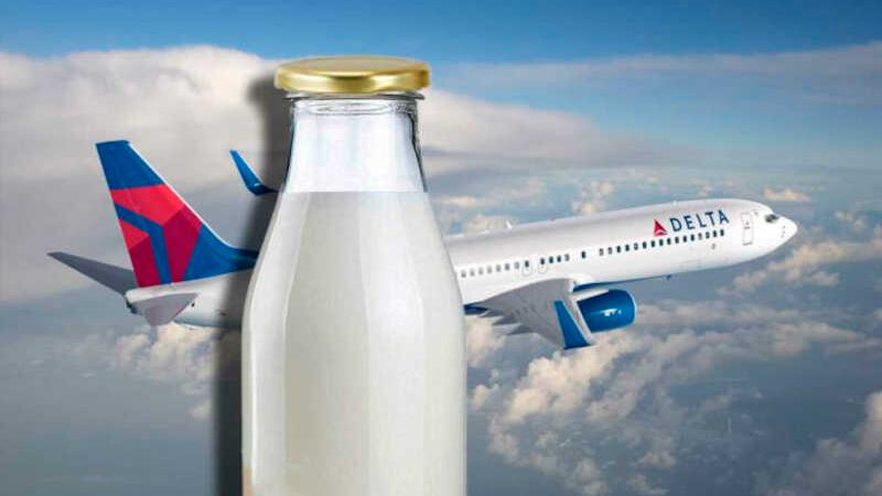 Com leite que não é de vaca no serviço de bordo, empresa aérea ganha prêmio de ativistas