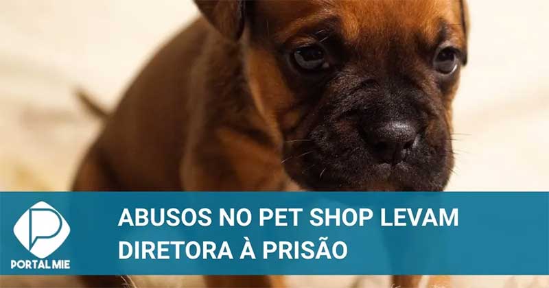 Diretora de pet shop é presa por maus-tratos com animais