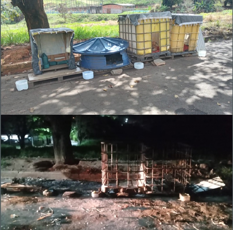 Abrigo para animais de rua é alvo de vandalismo em Caratinga, MG