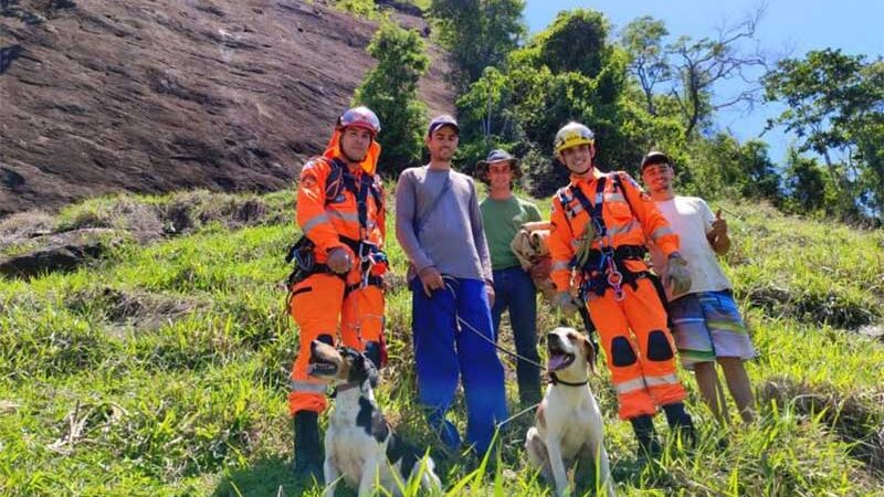Bombeiros de Muriaé (RJ) realizam resgate heróico: dois cachorros são devolvidos em segurança após aventura em pedreira