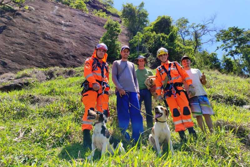 Bombeiros de Muriaé (RJ) realizam resgate heróico: dois cachorros são devolvidos em segurança após aventura em pedreira