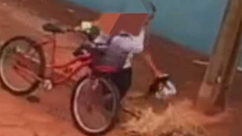 Polícia Civil identifica suspeita de maus-tratos contra filhote de cachorro em Bataguassu, MS