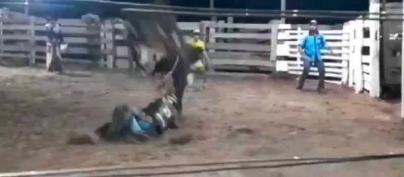 Adolescente cai de touro e morre ao ser pisoteado durante treino para prova de montaria em MT; vídeo