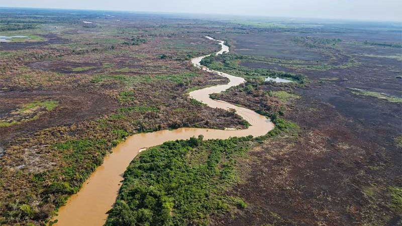 FOTOS: área com maior concentração de onças-pintadas do mundo e ponto turístico são destruídos em incêndio no Pantanal de MT