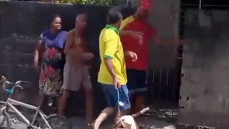 Tutor de pitbull é preso em flagrante por ameaçar vizinhos após cachorro matar um gato; VÍDEO