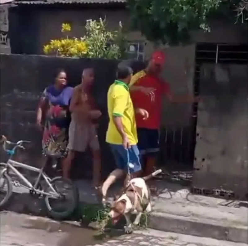 Tutor de pitbull é preso em flagrante por ameaçar vizinhos após cachorro matar um gato; VÍDEO