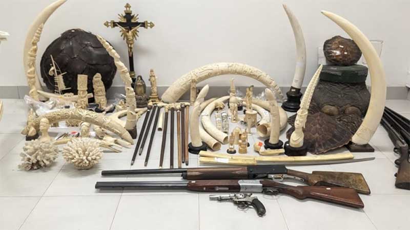 Portugal: GNR apreendeu 100 peças feitas com partes e derivados de animais mortos