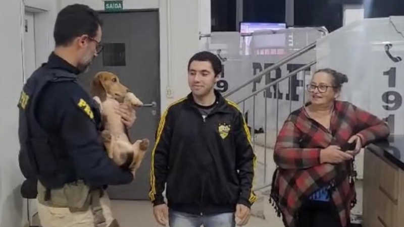 Esqueceram de mim: cachorro é encontrado após dois anos perdido no PR