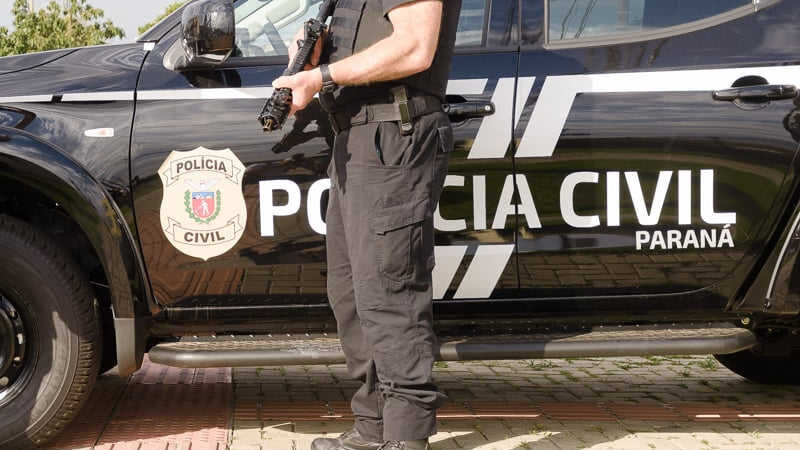 Mulher suspeita de jogar dois gatos pela janela do carro no Paraná entra na mira da Polícia
