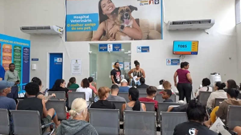 Único da Baixada Fluminense, hospital municipal veterinário de Caxias recebe animais de todo o estado
