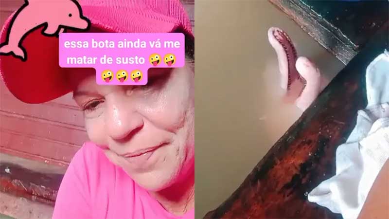 Mulher se surpreende ao encontrar um boto cor-de-rosa na pia e vídeo viraliza: ‘Quase tenho um infarto’