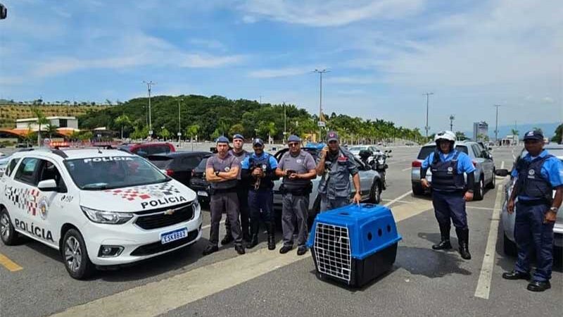 PMs estouram vidro e resgatam cães trancados em carro no estacionamento do Santuário Nacional de Aparecida