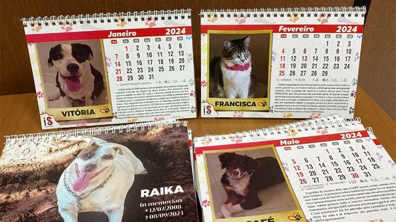 Calendário com fotos de animais resgatados é vendido para angariar fundos