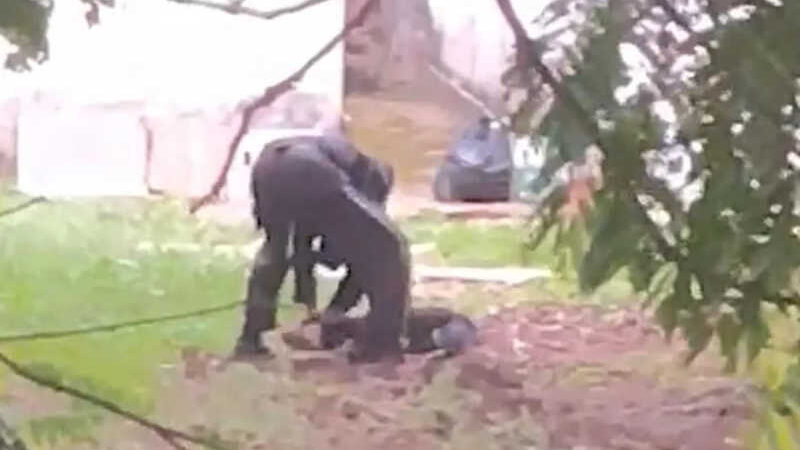 Homem é filmado agredindo cachorro no interior de SP e termina preso; VÍDEO